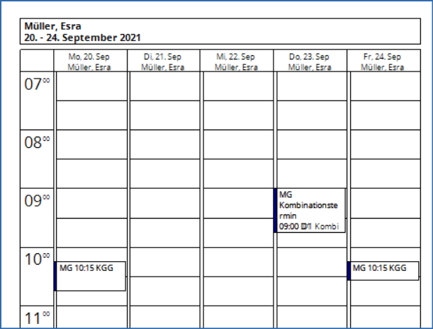 Druckansicht Patientenkalender